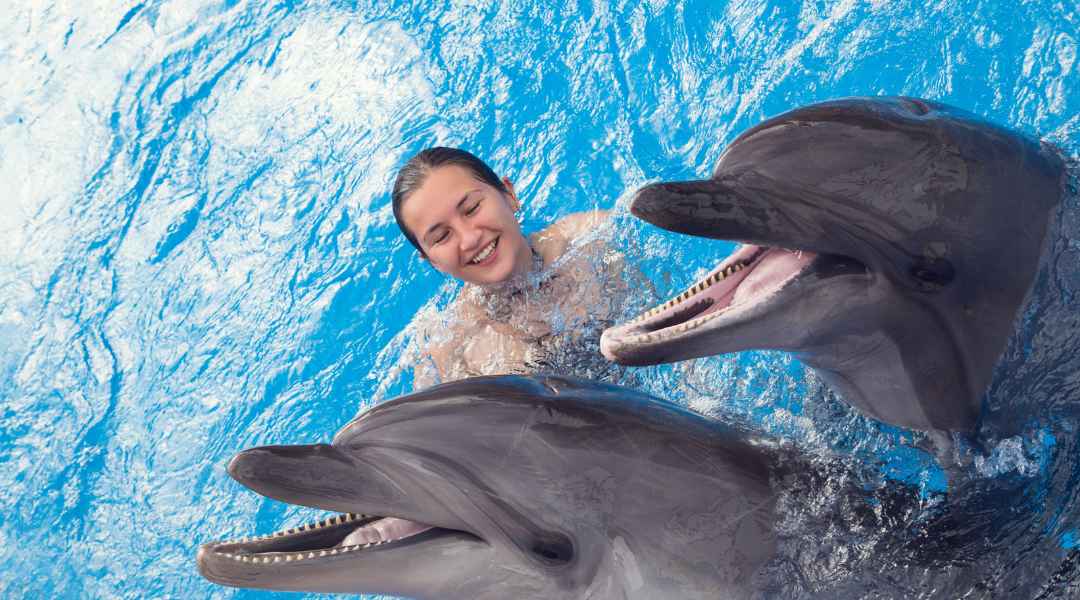 girl swimming with dolphins