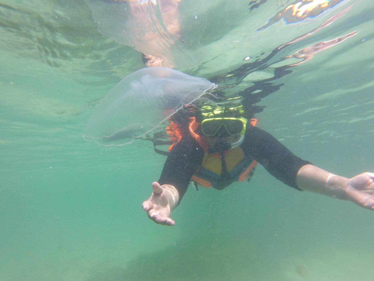 Snorkeler encountering a jellyfish underwater, a moment capturing the unpredictability of ocean exploration.