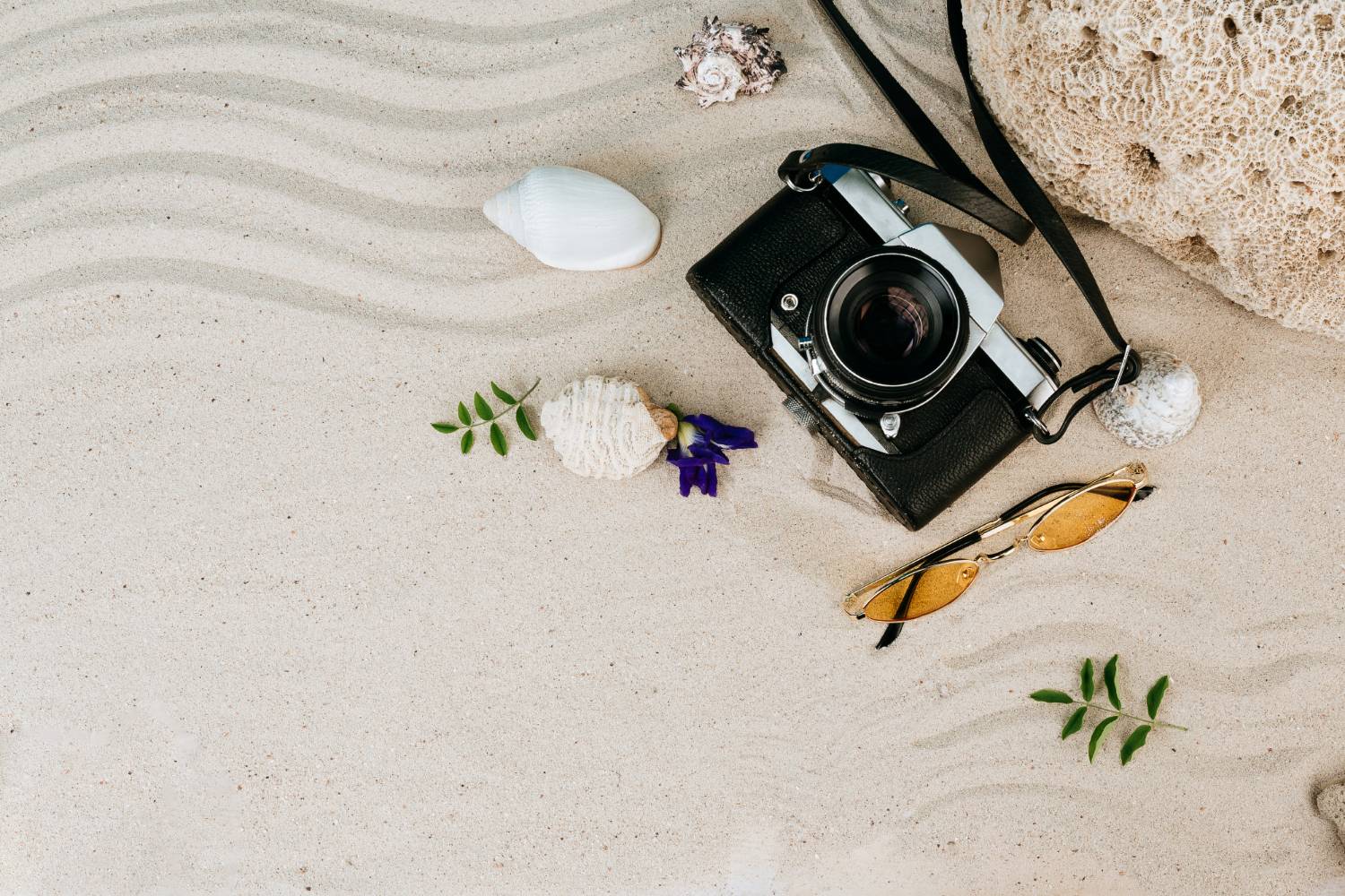 Beach photography setup with a camera and seashells, essentials for capturing pontoon picnic memories.